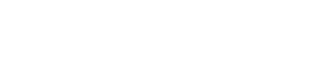 Synapse OS