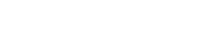 Sinapsis OS